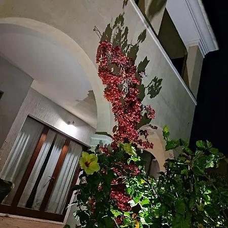 Domu Cannuja דירה וילסימיוס