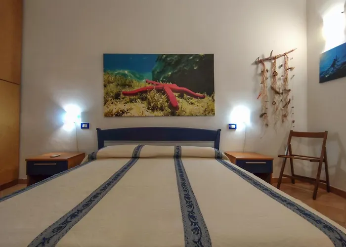 Domu Cannuja 아파트 *