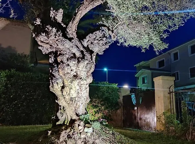 Domu Cannuja 아파트 *