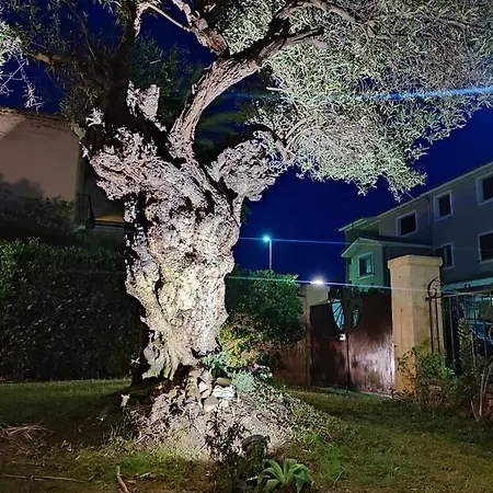 Domu Cannuja Apartment *