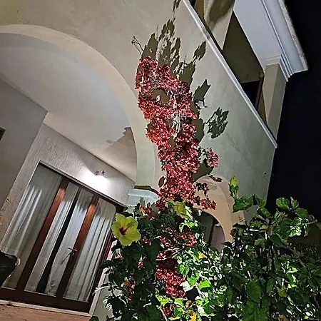 Domu Cannuja *
